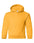Heavy Blend™ Youth Hooded Sweatshirt